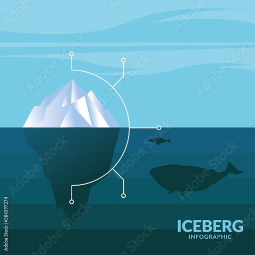 iceberg infographic with whale and turtle vector design