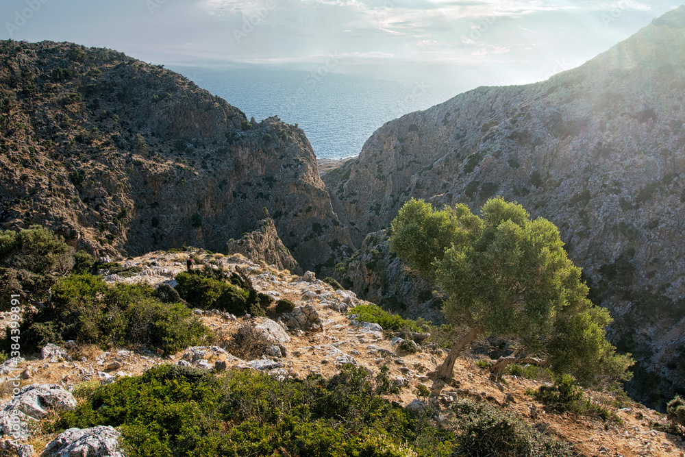 Avlaki Gorge, north of Gouverneto Monastery, Chania, Crete