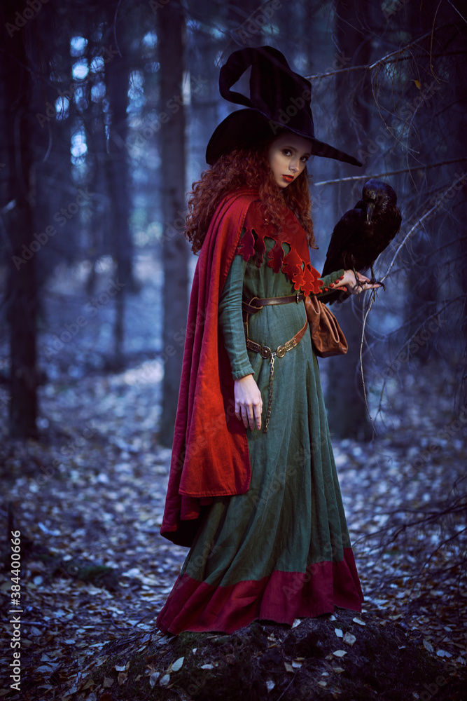 fairy tale witch