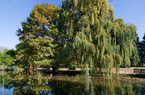 Fotografía Autumn colorful forest with a lake and reflections in it,  park Vrana, Sofia, Bu