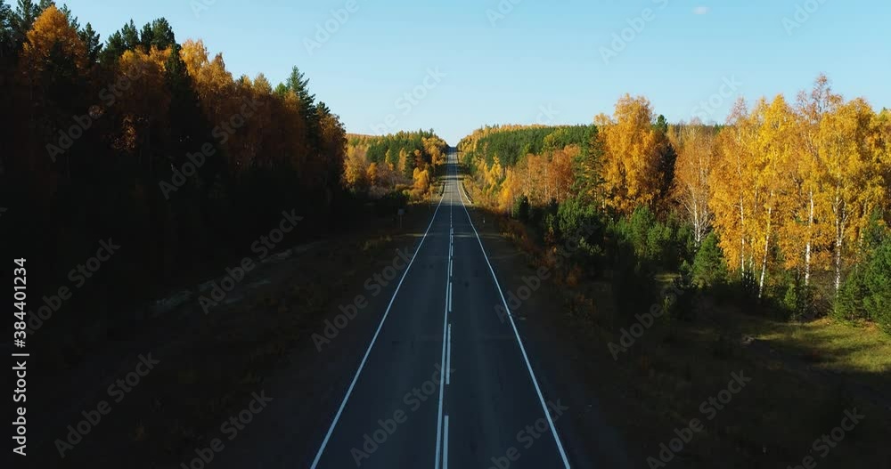 Empty endless asphalt straight road with marking into the distance in beautiful autumn multicolored forest. Aerial drone wide shot at sunny sunset Empty endless asphalt straight road with marking into the distance in beautiful autumn multicolored forest. Aerial drone wide shot at sunny sunset