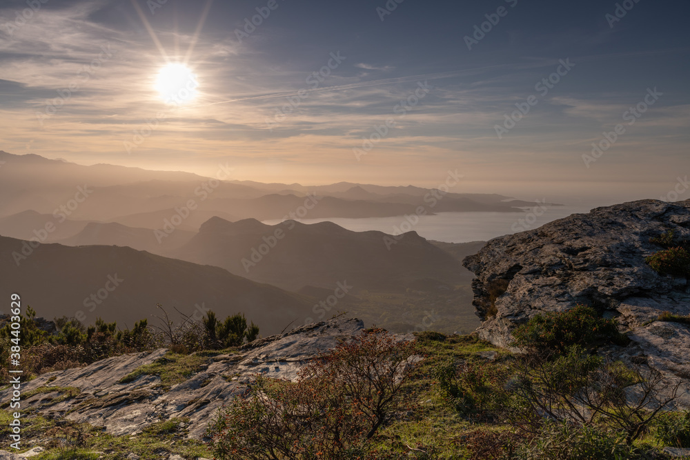 Stones and  Autumn vegetation at an altitude, in the mountains of Corsica