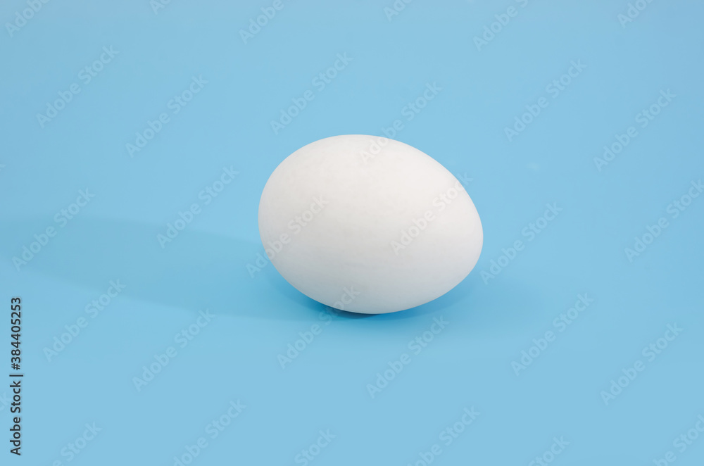 one white egg on a blue background. one white egg on a blue background.