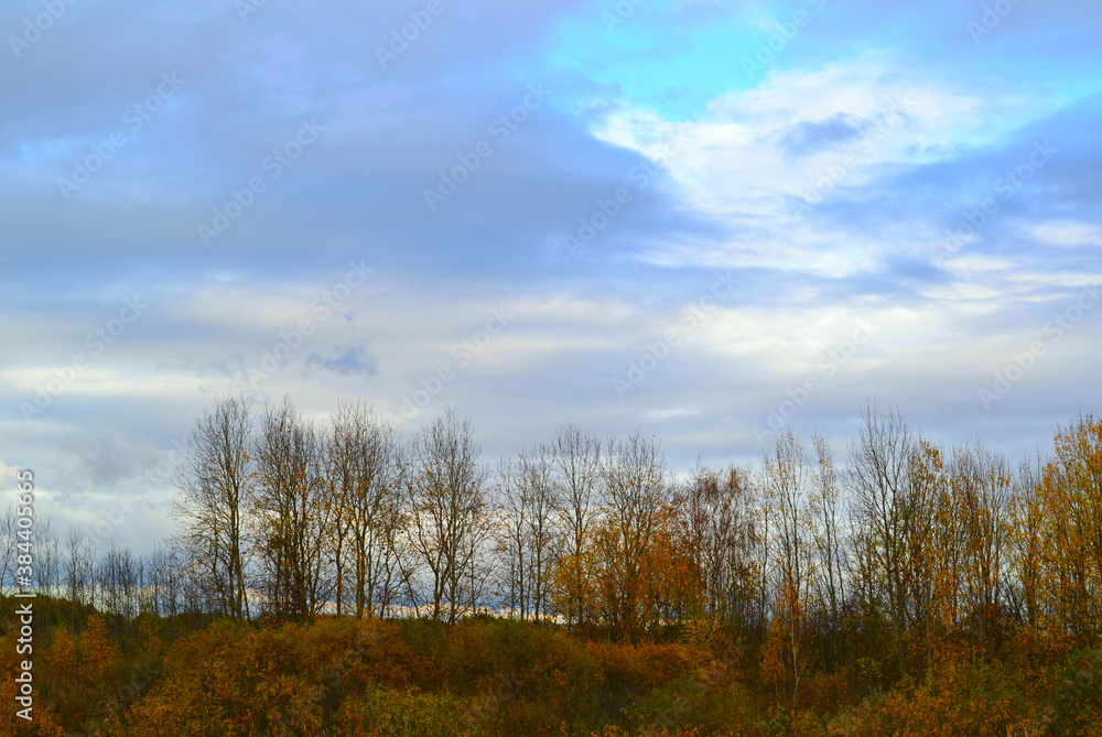 Fototapeta premium Beautiful autumn forest with colorful trees. Panorama. Northern Europe. October.