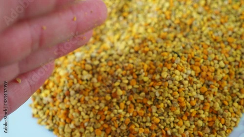 a plateful of bee pollen, close-up bee flower pollen grains,