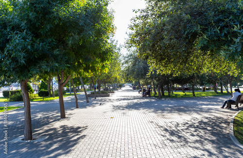 Summer park in the center of Baku city. Republic of Azerbaijan