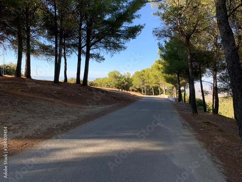 Dirt road on Mount Jabalcuz, Torredelcampo