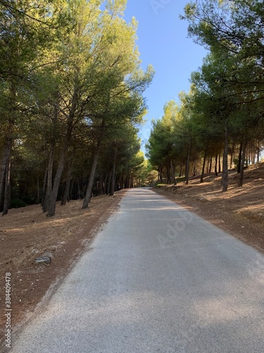 Dirt road on Mount Jabalcuz, Torredelcampo