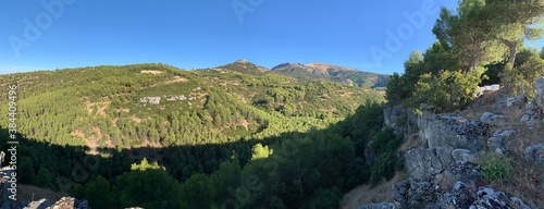 Forest of trees and mount jabalcuz in the background in Torredelcampo, Jaén