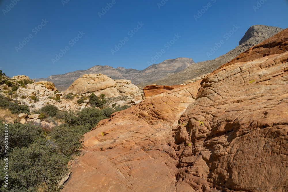 Sunny view of the Calico Tanks Trail of Red Rock Canyon National Conservation Area