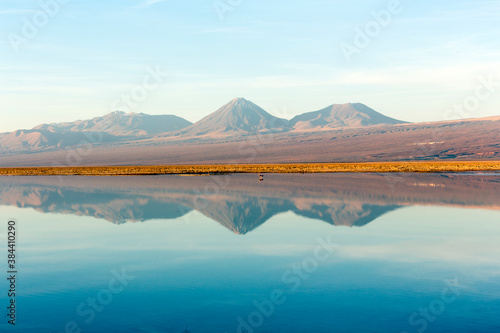 The wonderful colours of Chaxa lagoon