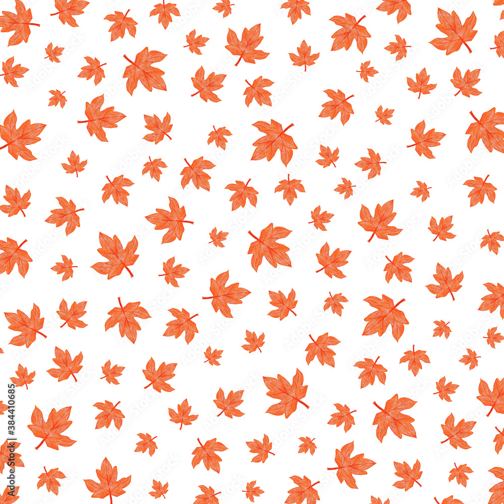 Autumn pattern Illustration - maple leaf Autumn pattern Illustration - maple leaf