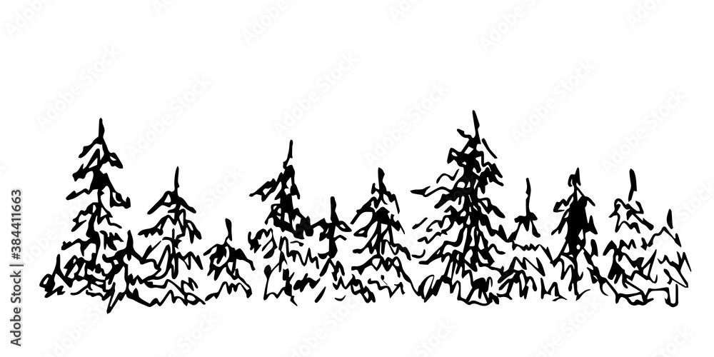 Hand-drawn simple vector drawing. Conifers, spruces, pines, horizontal landscape, dense forest. Wildlife of the north. Panoramic sketch in ink. Hand-drawn simple vector drawing. Conifers, spruces, pines, horizontal landscape, dense forest. Wildlife of the north. Panoramic sketch in ink.