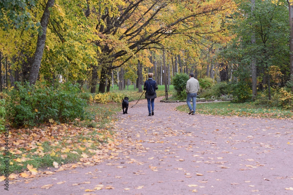 Obraz premium walk in the park