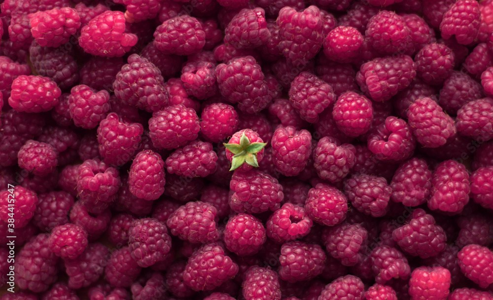 Ripe raspberries close-up macro photography, selective focus, fruit background Ripe raspberries close-up macro photography, selective focus, fruit background