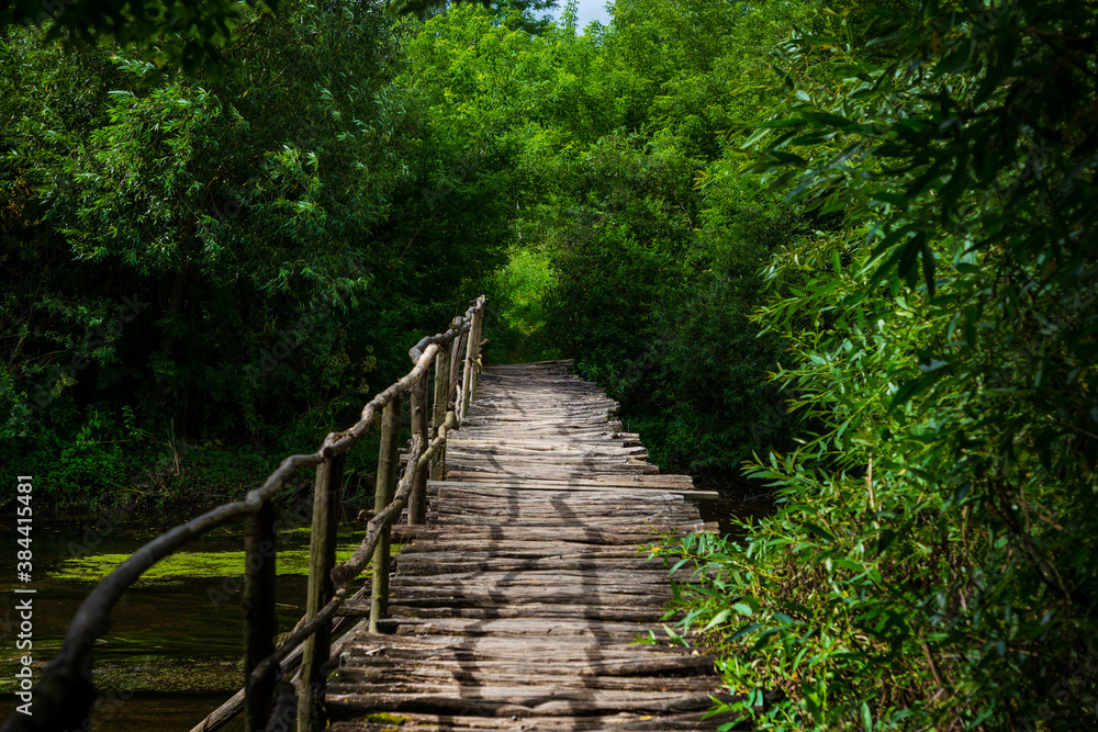 Old wooden bridge over the river in the forest.