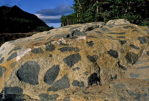 фотографія Mafic Xenoliths in light colored granitic matrix, near Carcross, Yukon Territory
