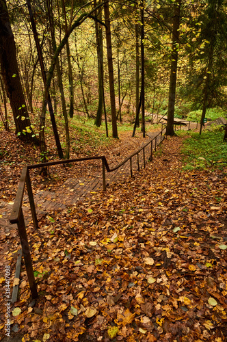 wooden staircase down the slope strewn with autumn leaves