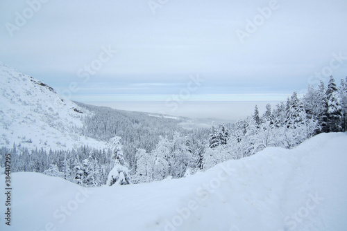 View of snow-covered mountains and trees