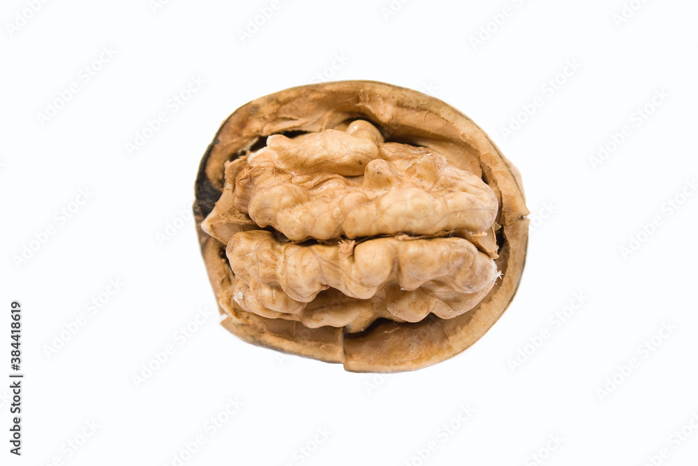 walnut walnut
