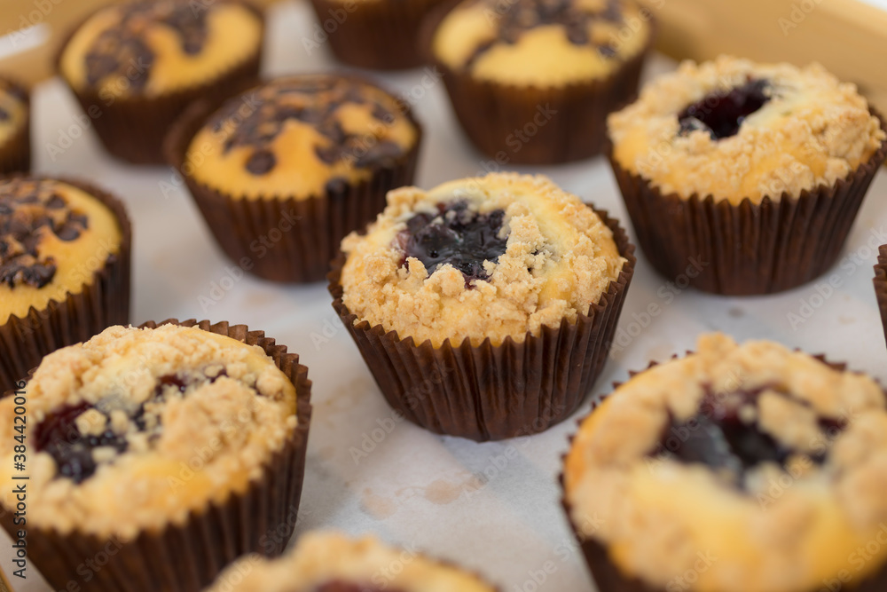 Close-up image of batch of homemade, chocolate cupcakes in paper cake cases on circular, black, metal wire cooling rack, chocolate butter chocolate pieces and blueberry