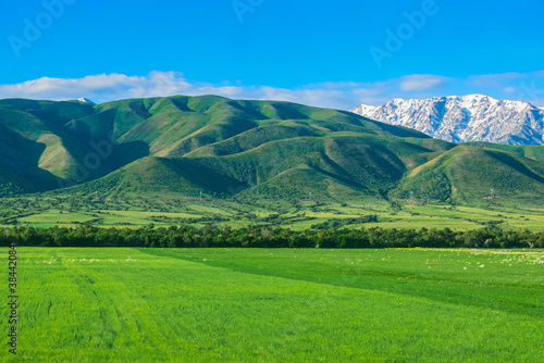Mountains and fields. South of Kazakhstan.