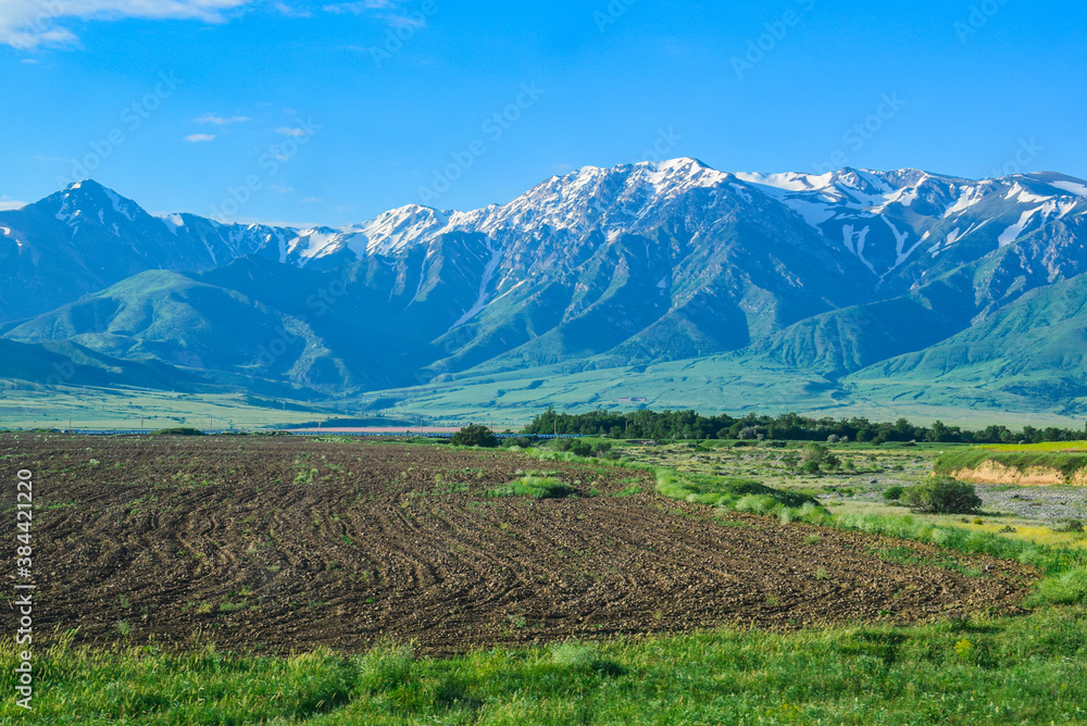 Agriculture near the mountains. Beauty of nature. Agriculture near the mountains. Beauty of nature.