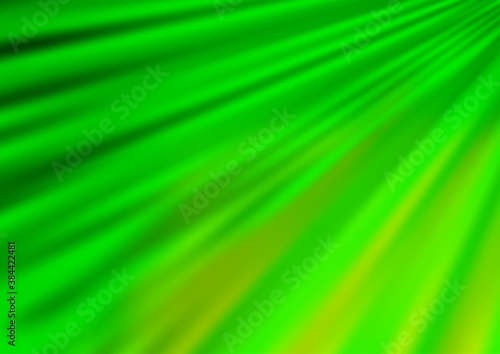Light Green vector backdrop with long lines. © Dmitry