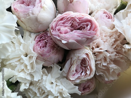 peonies