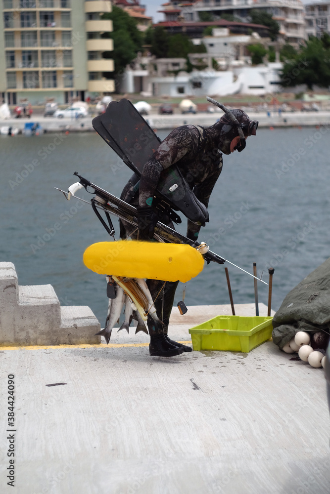 Freshly fish caught one by one from underwater diver on the sea shore Freshly fish caught one by one from underwater diver on the sea shore