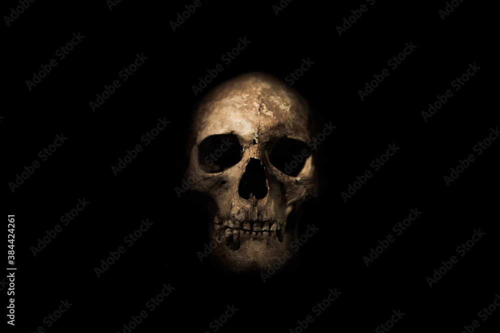 Human skull on a black background. 