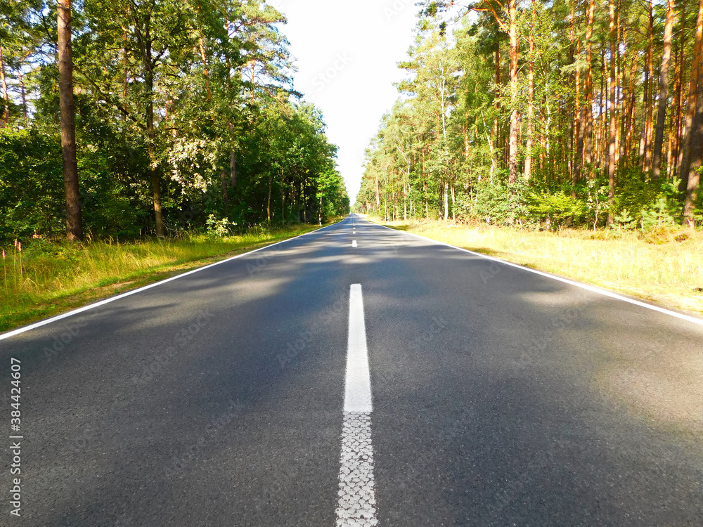 Fototapeta premium Die Aspaltstraße mitten durch die Wälder der Uckermark