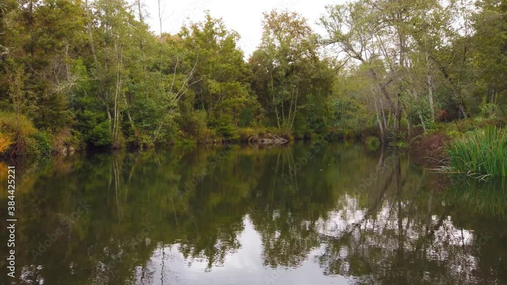 River surrounded by trees and vegetation on an autumn day. Autumn colours. River surrounded by trees and vegetation on an autumn day. Autumn colours.