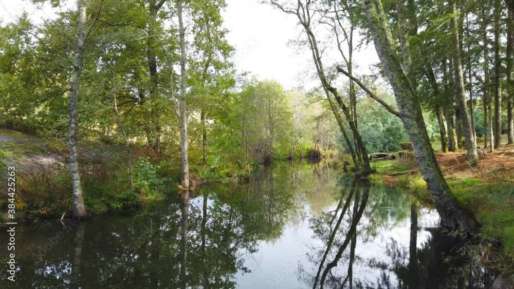 River surrounded by trees and vegetation on an autumn day. Autumn colours. River surrounded by trees and vegetation on an autumn day. Autumn colours.