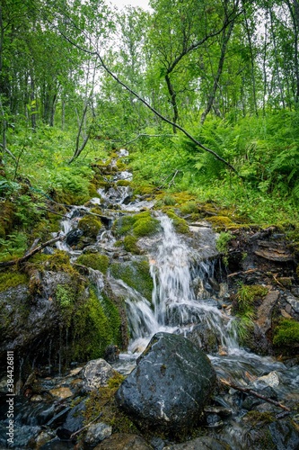 Small rocky stream in forest