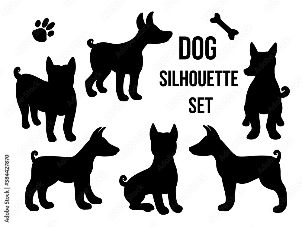 Set Dog silhouette in different poses. Vector illustration isolated on white background. Dog breed Basenji set black shape. Fun Cartoon style