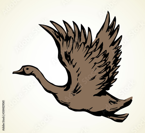 Goose in flight. Vector drawing