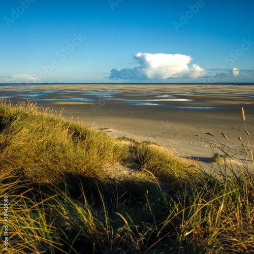 Wide dunes and sandbanks in the west of the island of Amrum