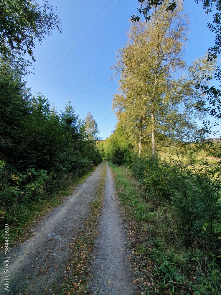 Fototapeta premium Wirtschaftsweg