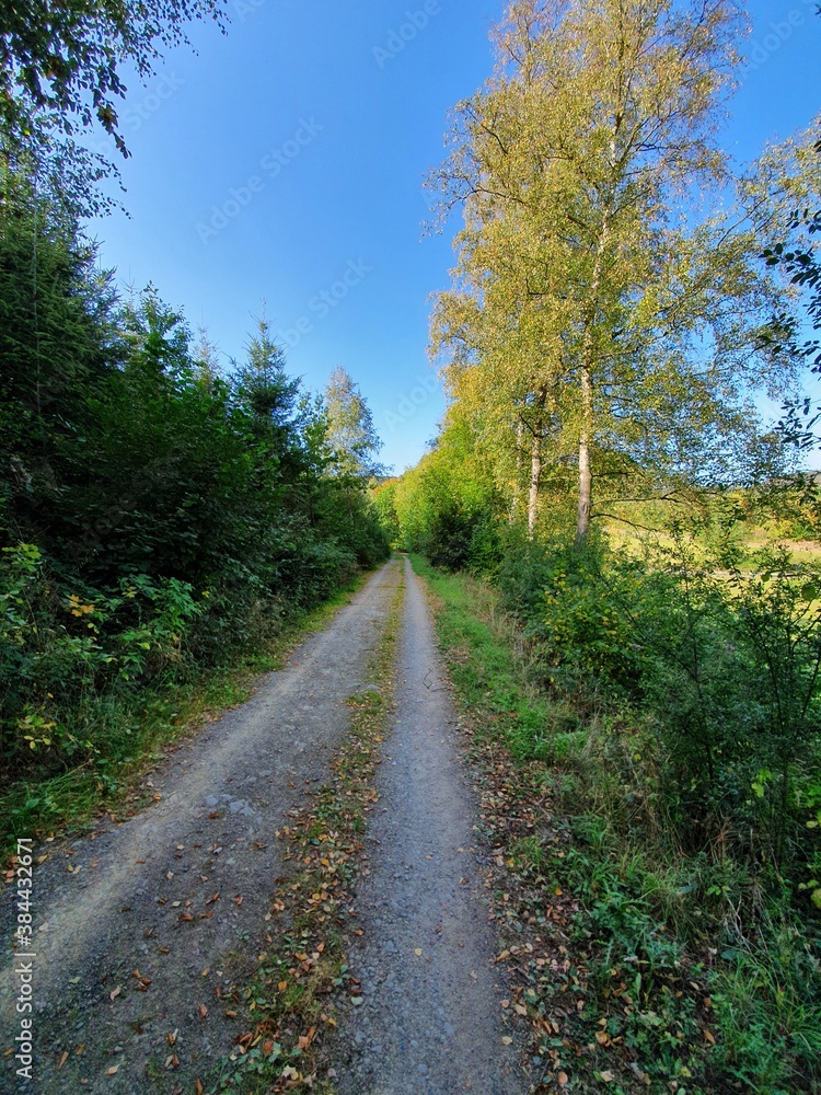Wirtschaftsweg Wirtschaftsweg