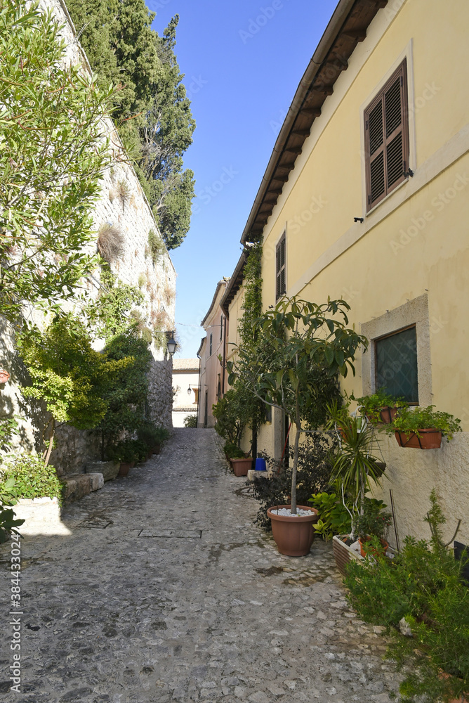 Naklejka premium A narrow street between the old houses of Fumone, a medieval village in the province of Frosinone, Italy.