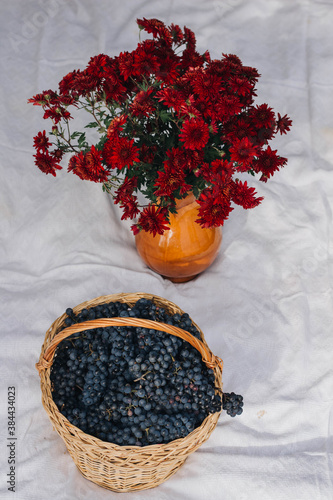 still life with a basket of flowers