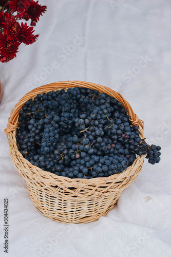 Blue grapes in a basket