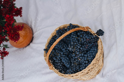 Blue grapes in a basket