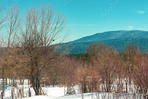 Bolu mountains natural winter landscape 