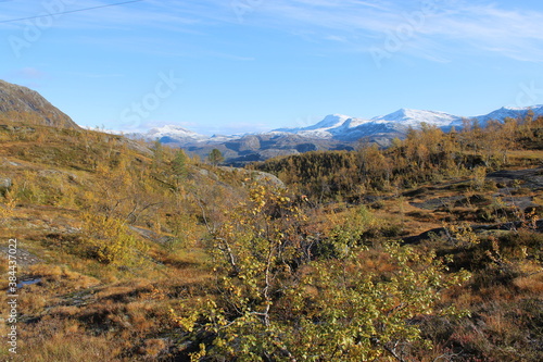 The beautiful and colourful landscape around Rago National park in the heart of Northern Norway