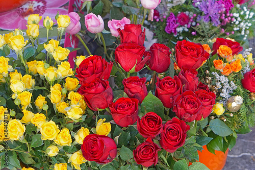 Wallpaper Mural Red roses Torontodigital.ca