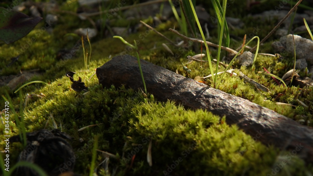 Obraz premium OLYMPUS DIGITAL CAMERA