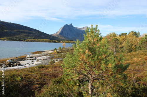 Landscape in Northern Norway during a road trip to the arctic circle photo