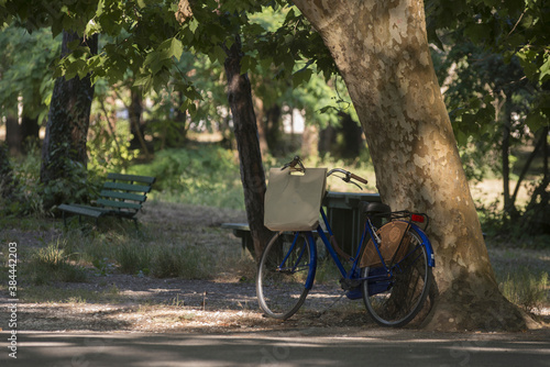 bicicletta nel parco